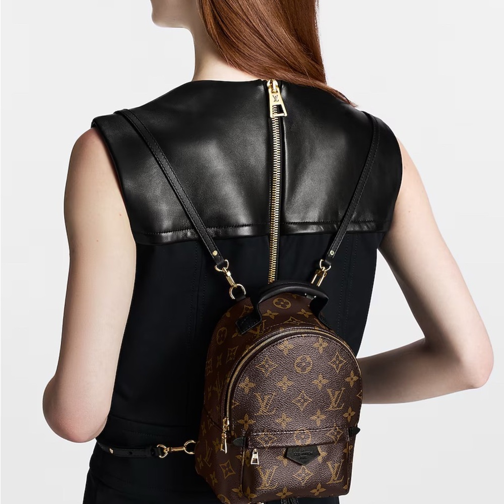 SOLD Louis Vuitton Palm Springs Mini Backpack - Picture 4 of 16